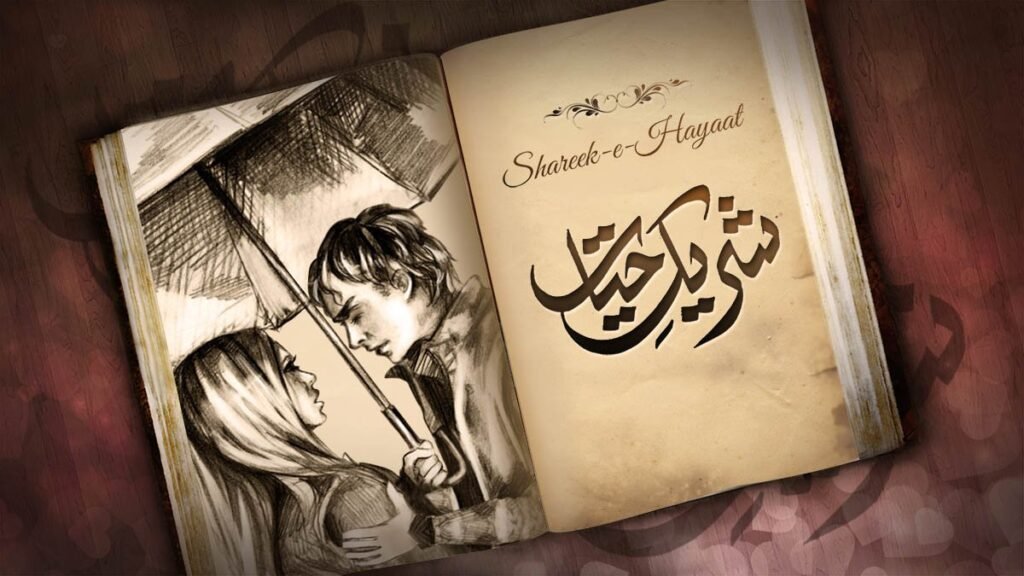 شریکِ حیات قسط ۶