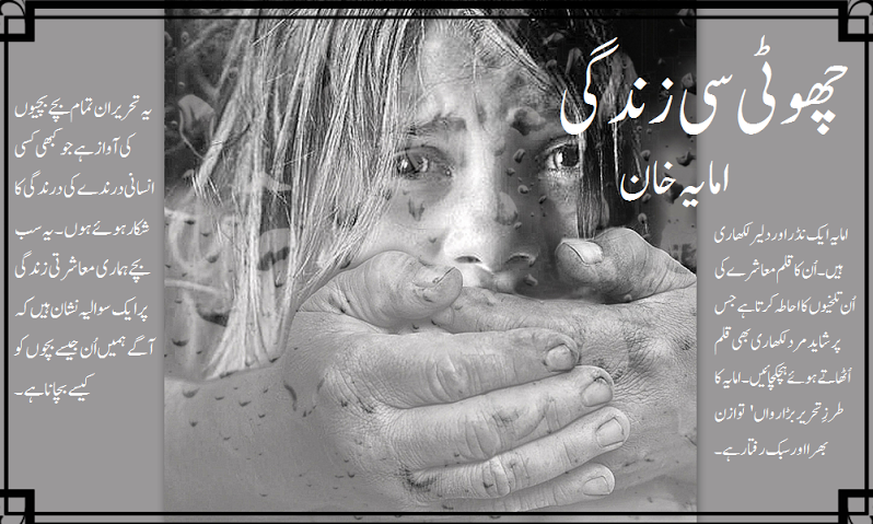 چھوٹی سی زندگی