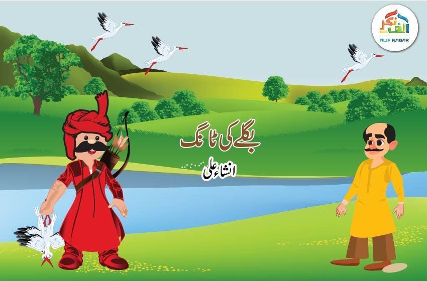 بگلے کی ٹانگ – انشاء علی