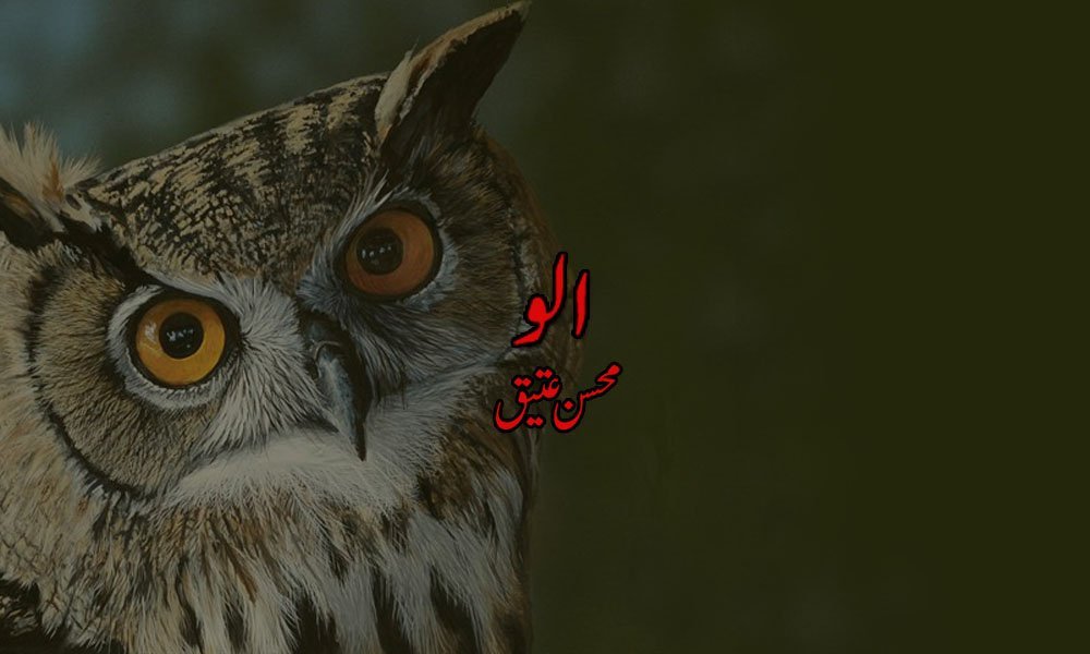 اُلو — محسن عتیق