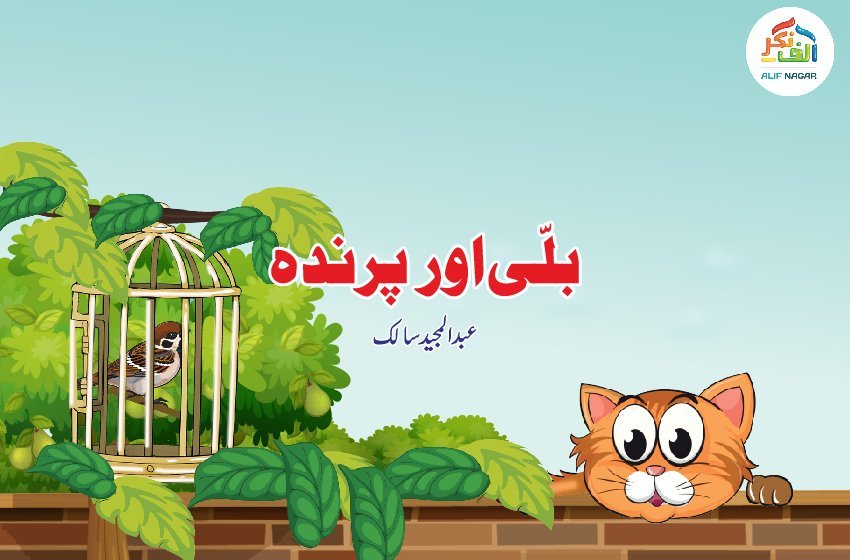 بلّی اور پرندہ