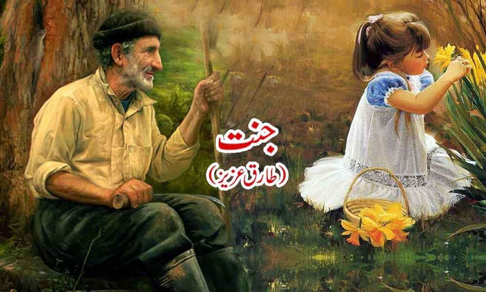 جنّت — طارق عزیز